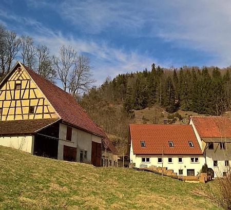 Muehlenchalet Villa Gundershofen Kültér fotó